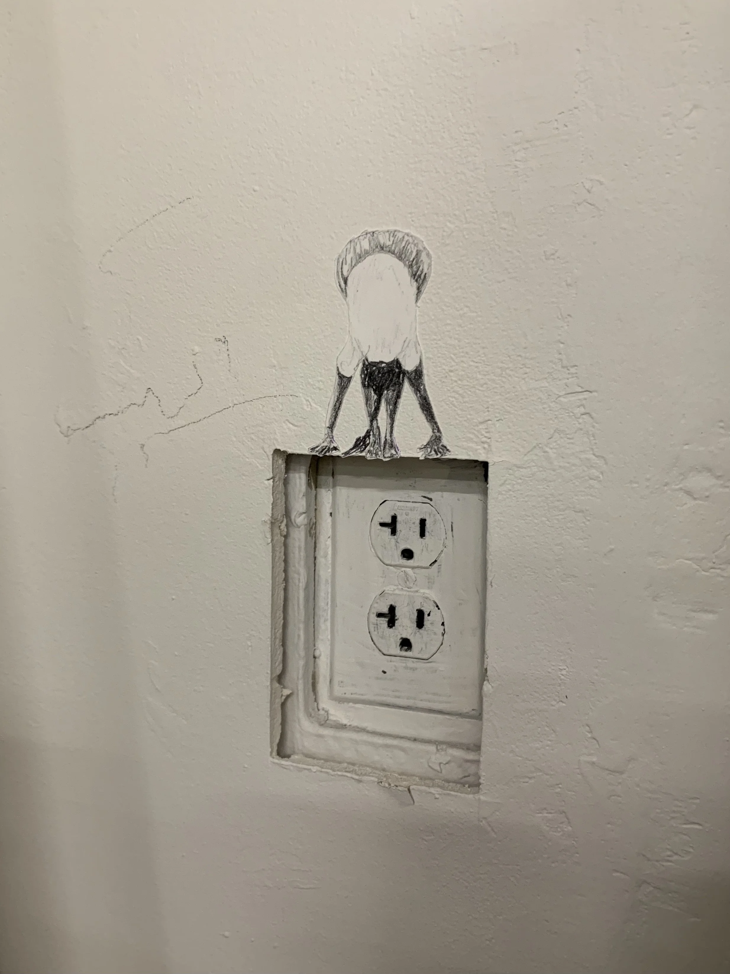 IMG_0743.jpeg