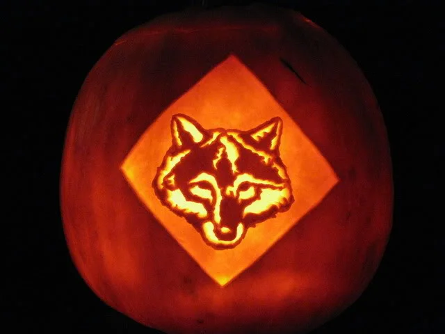 cub-pumpkin.jpg