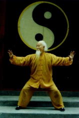 Master Lu Zi Jian 吕紫剑