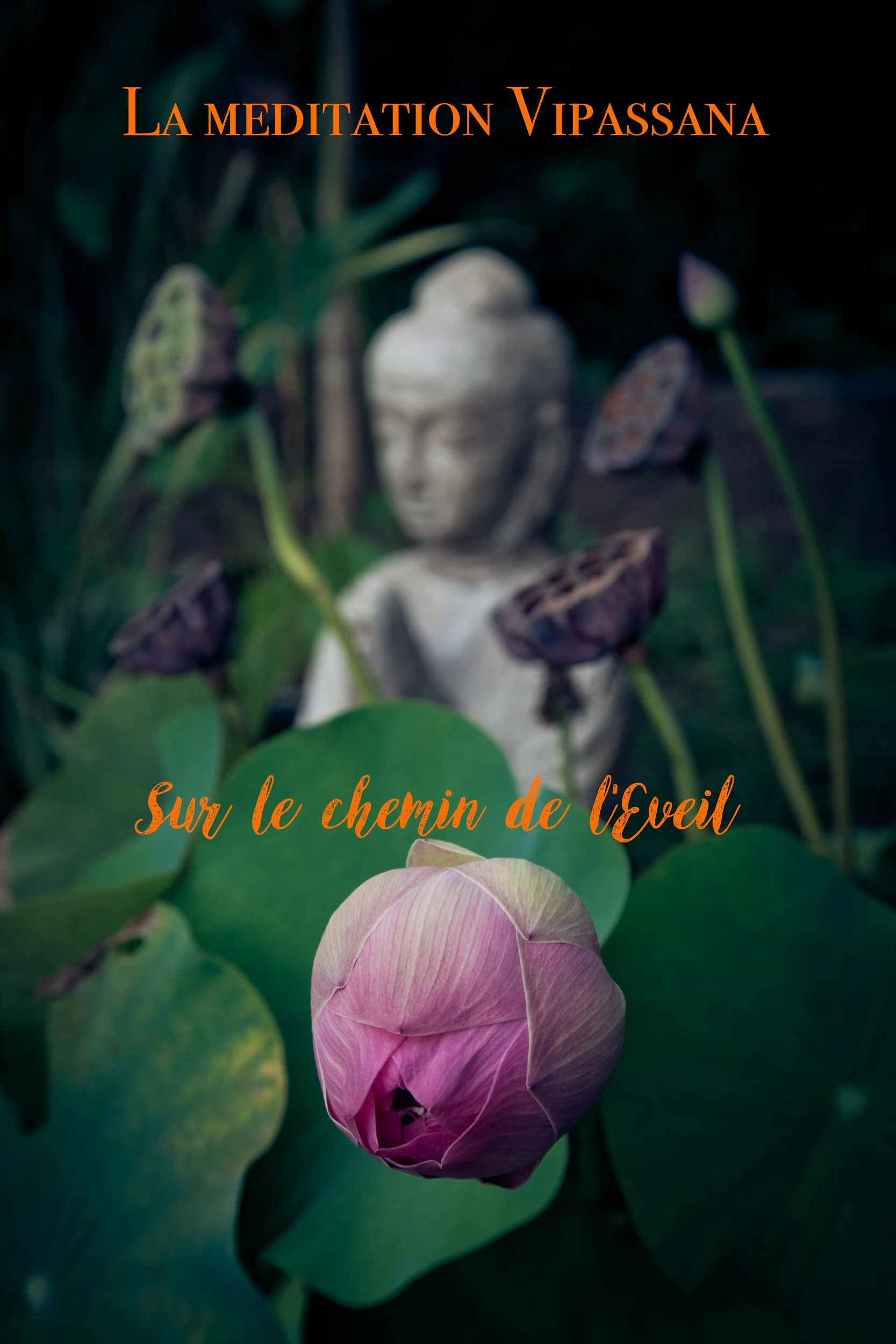 Vipassana_DavidKremmel.jpg