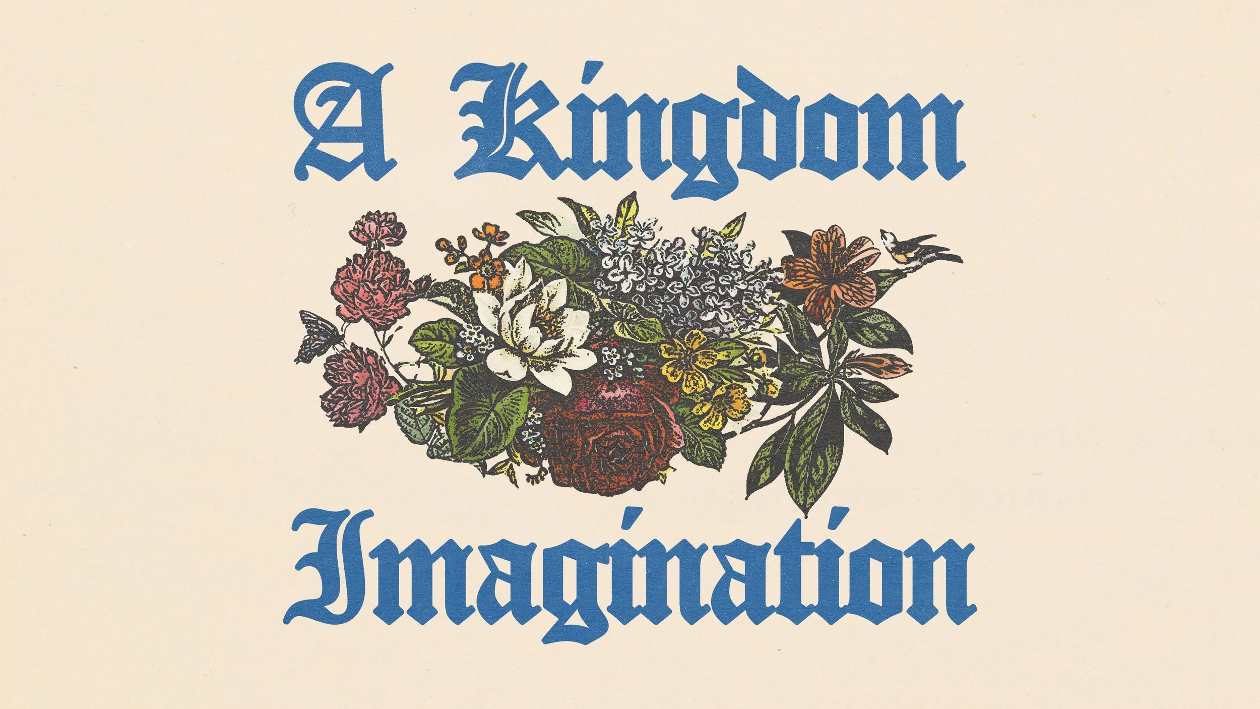 A Kingdom Imagination