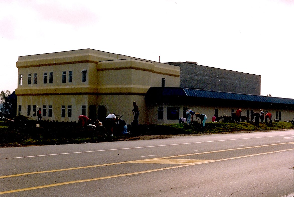 building workbee.jpg