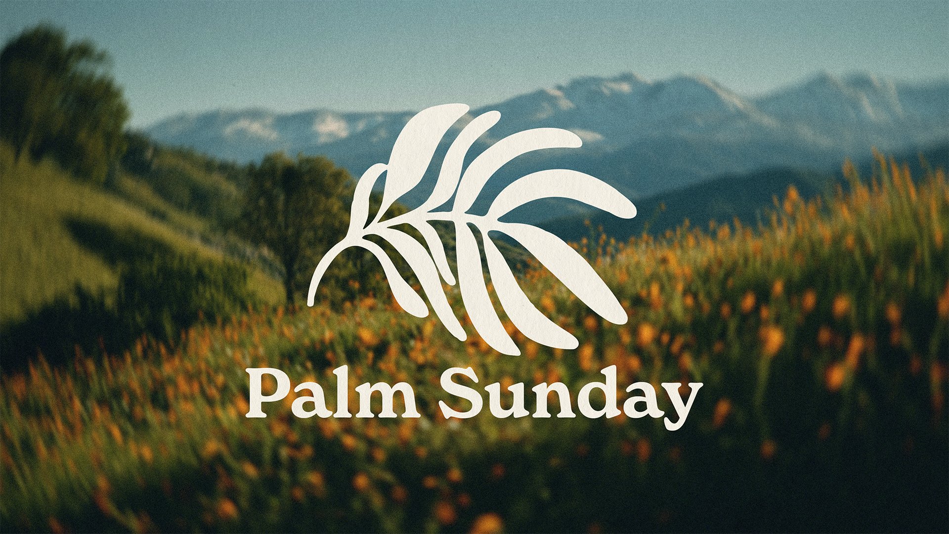Palm Sunday - Who Is This?