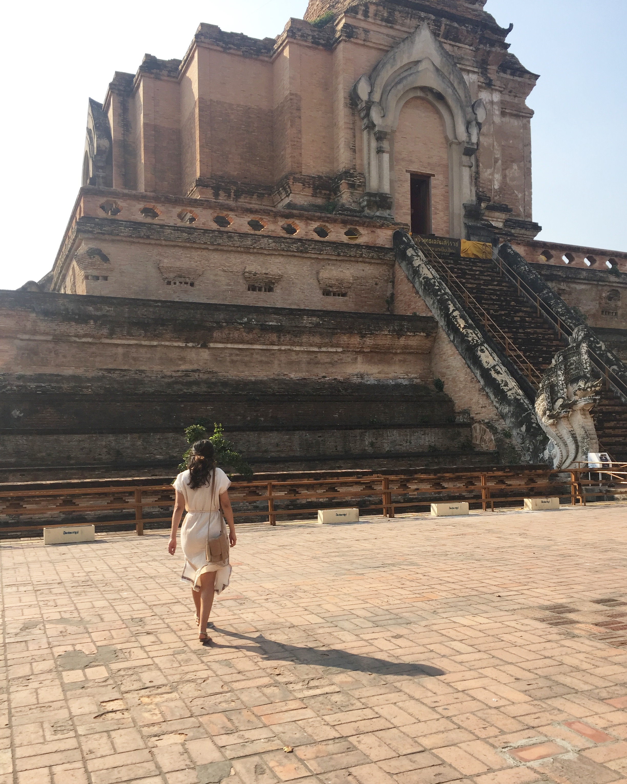  Wandering around the Old City in Chiang Mai. You never know what you'll find.&nbsp; 