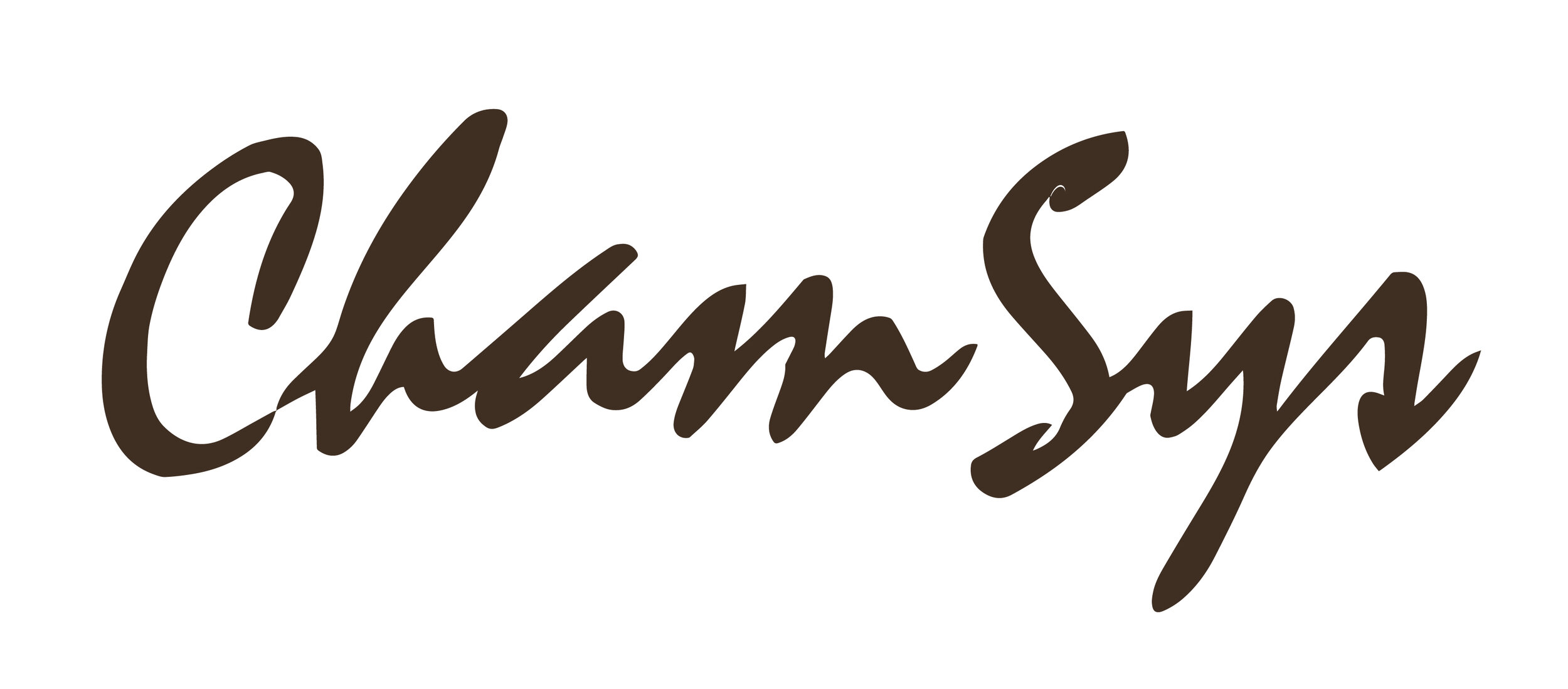 ChamSys brown logo.jpg