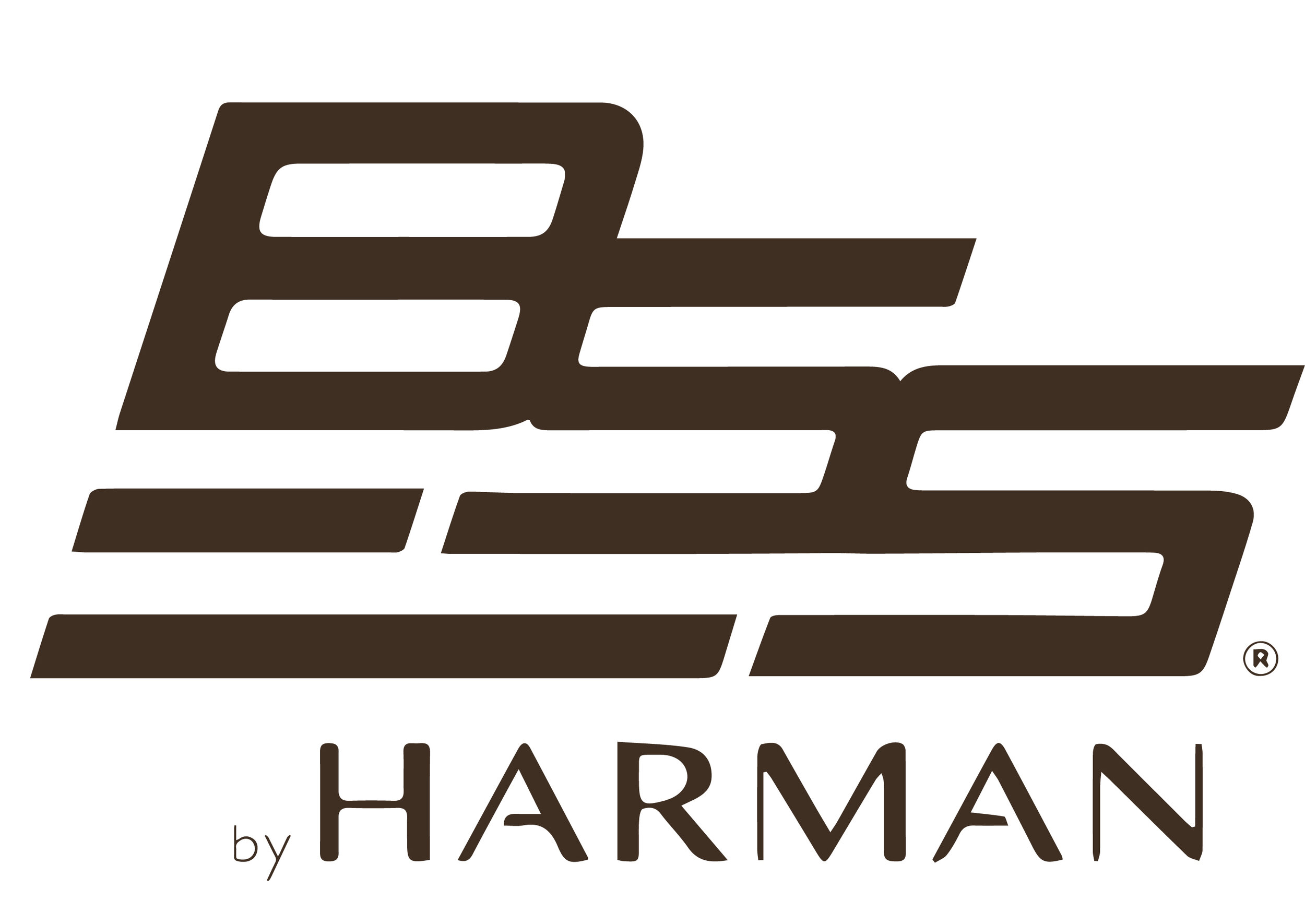 BSS brown logo.jpg