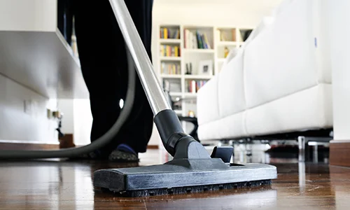 Light+Housekeeping+-+At+Your+Service,+Inc.jpg