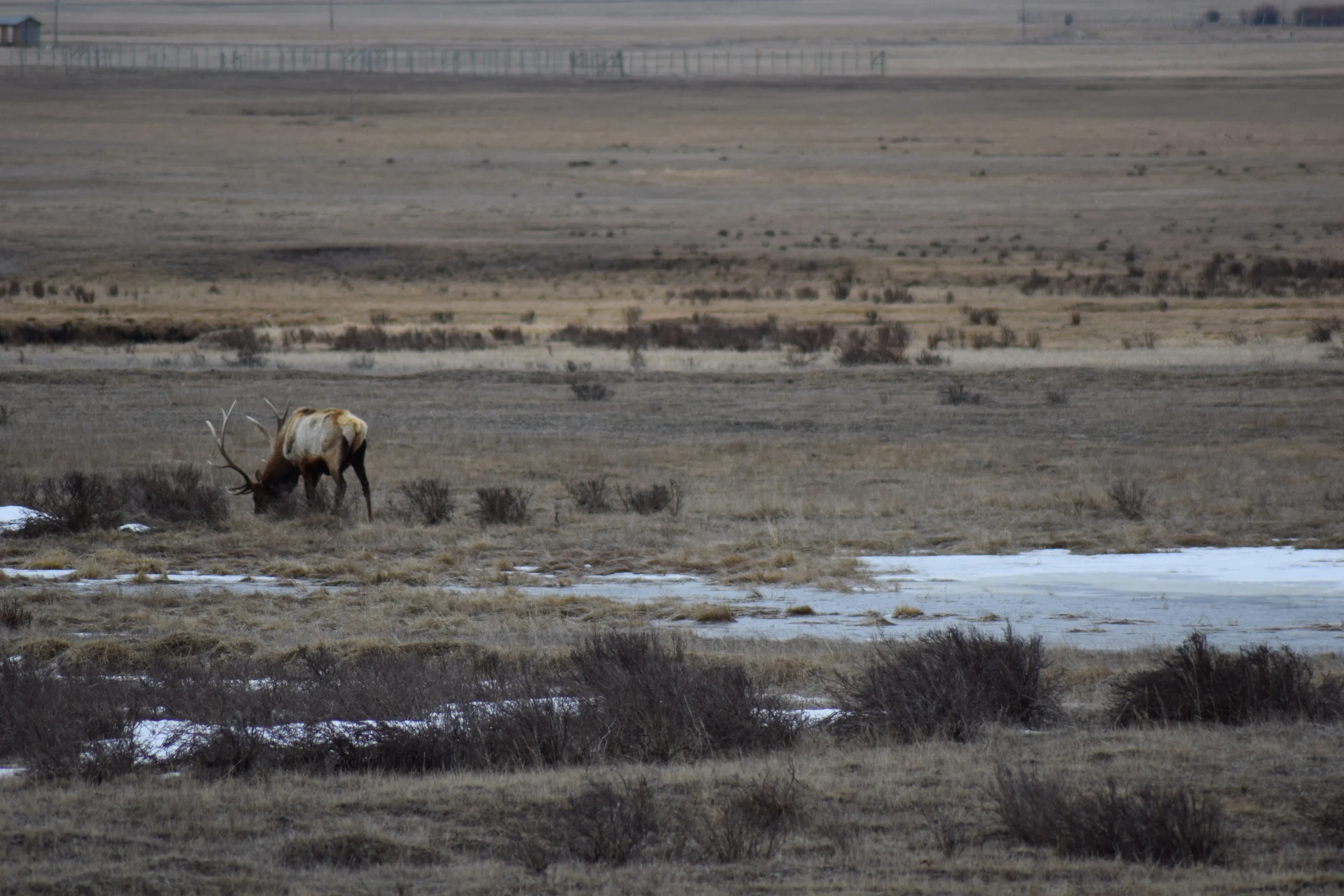 DSC_0363.JPG