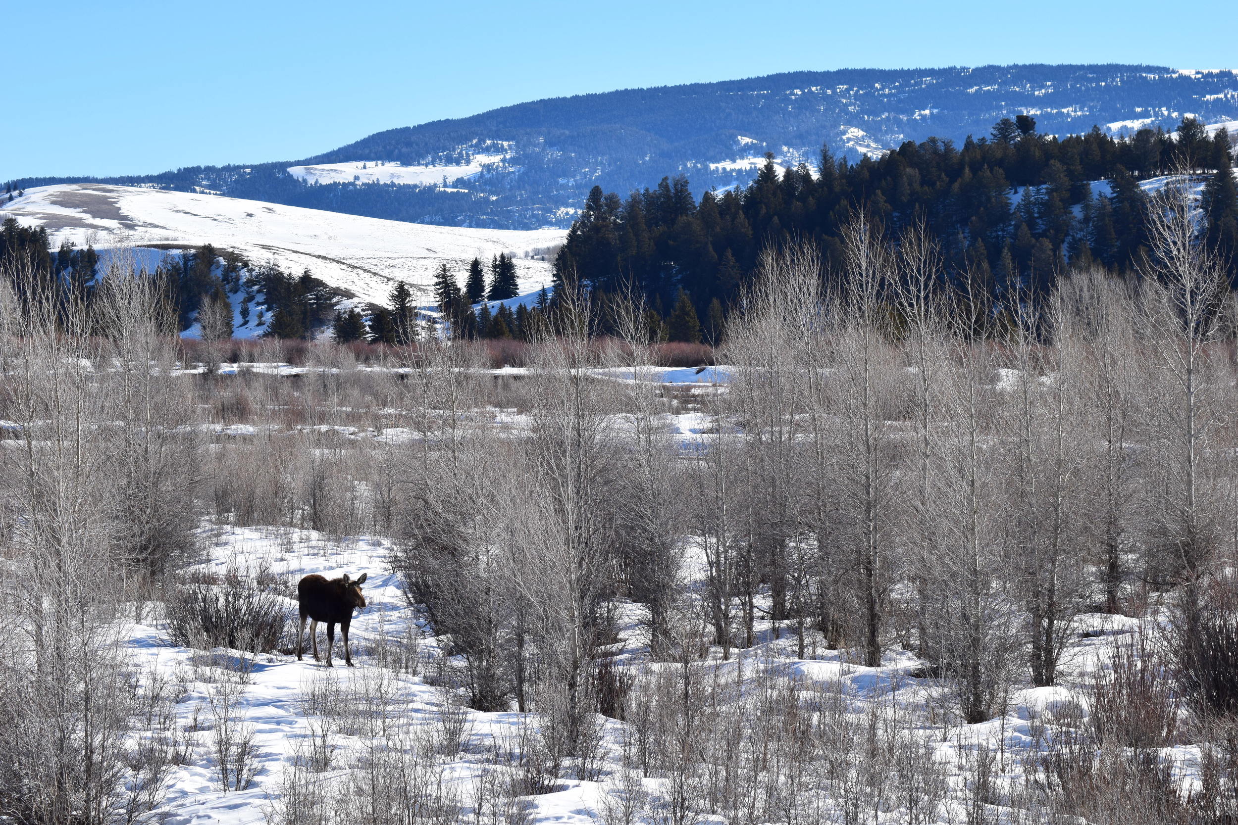 DSC_0221.JPG