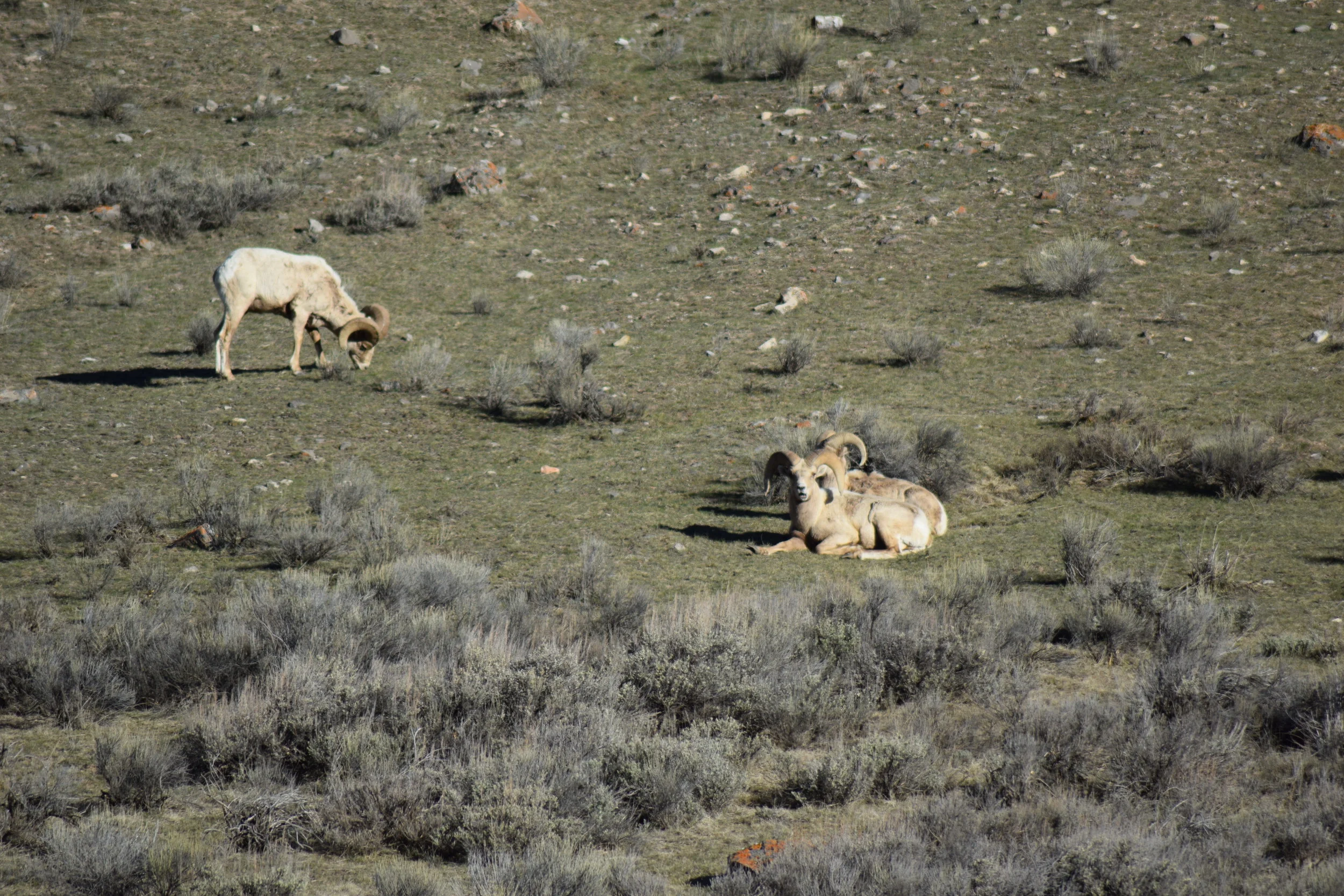 DSC_0193.JPG