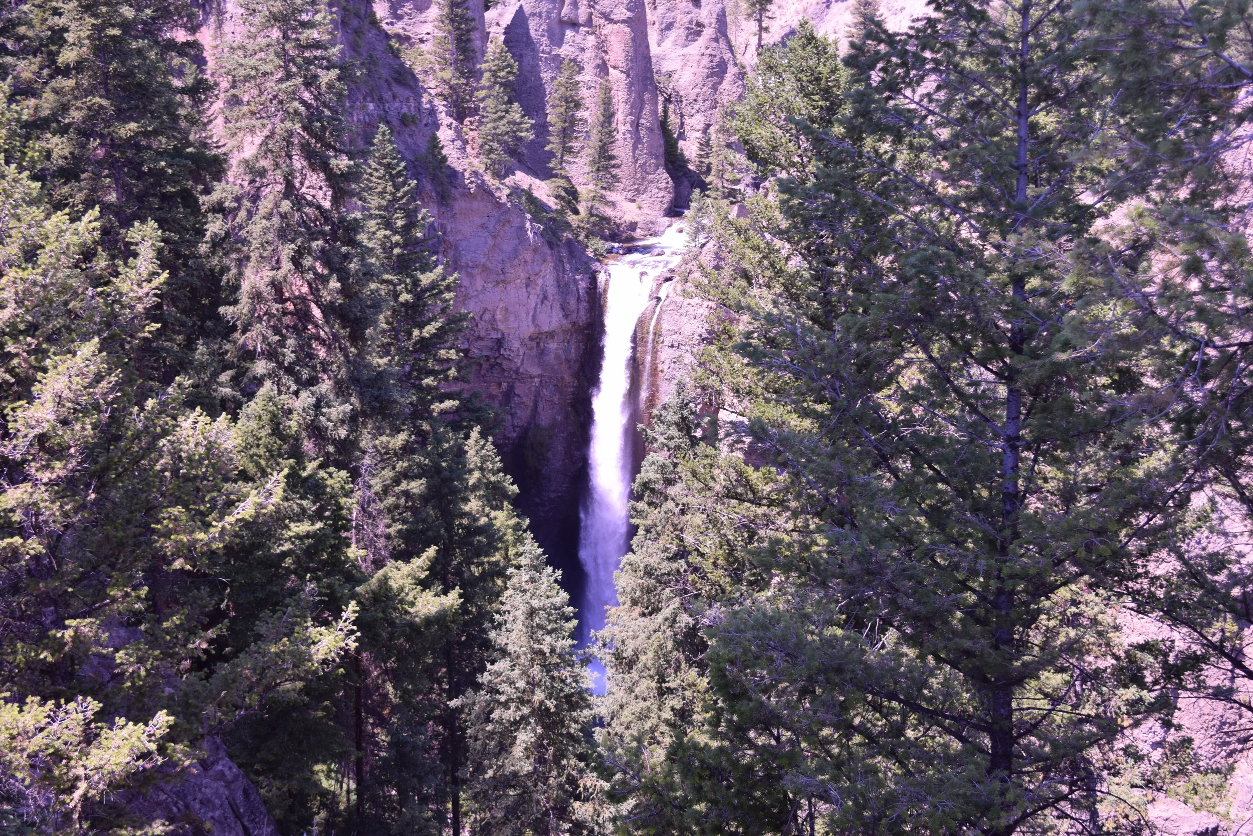 DSC_0110.JPG