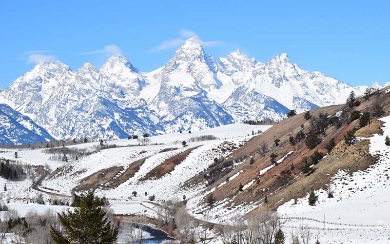 Grand Teton National Park Tours