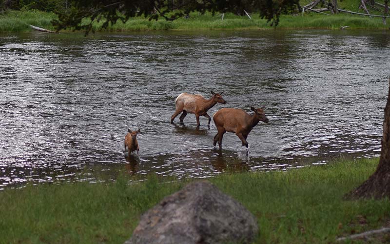 Grand Teton National Park Tours