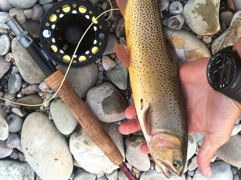 Jackson Hole Guided Fly Fishing