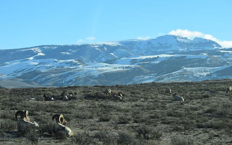 Grand Teton National Park Tours