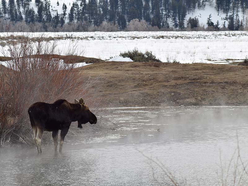 Grand Teton National Park Tours