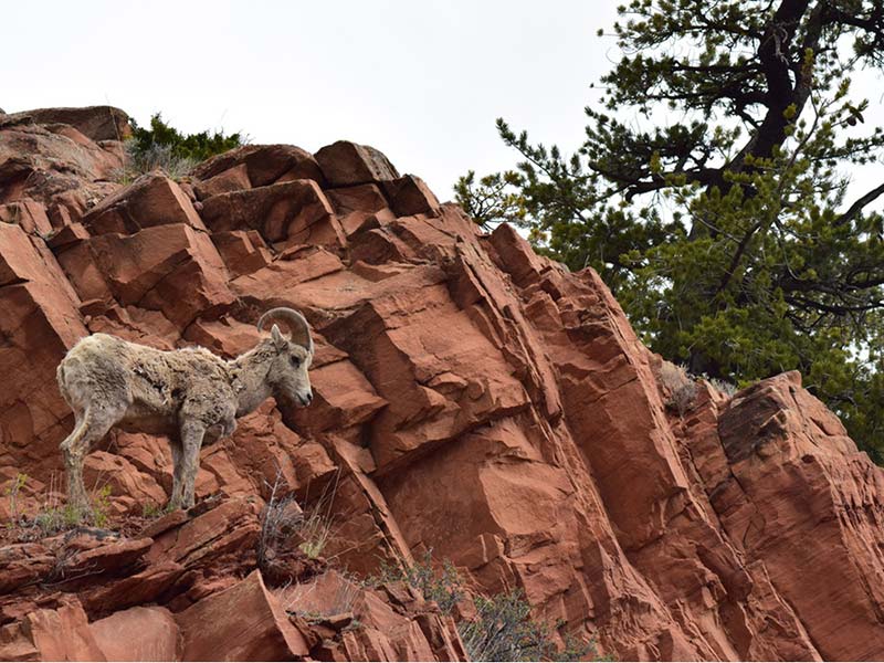 Grand Teton National Park Tours