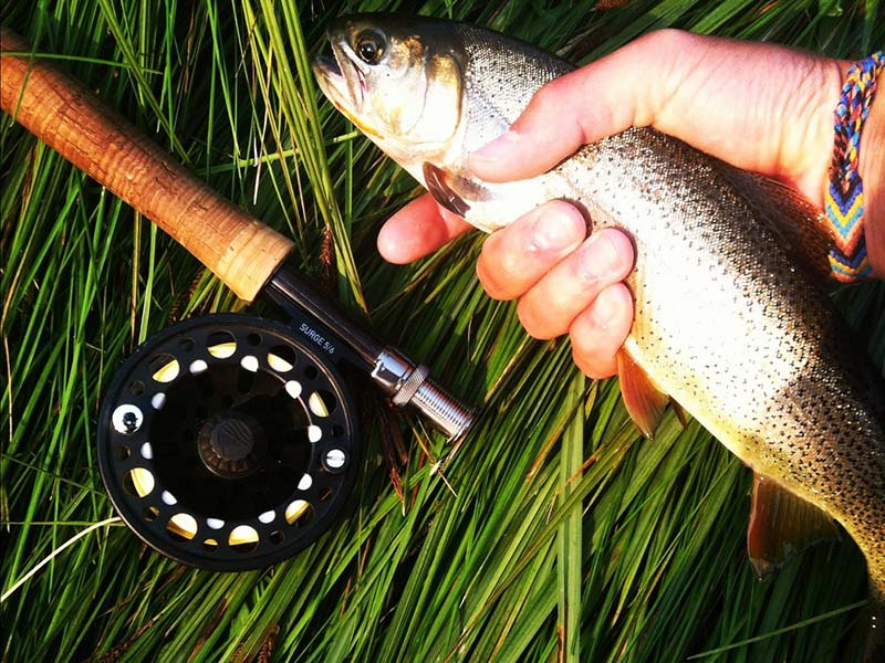 Jackson Hole Guided Fly Fishing