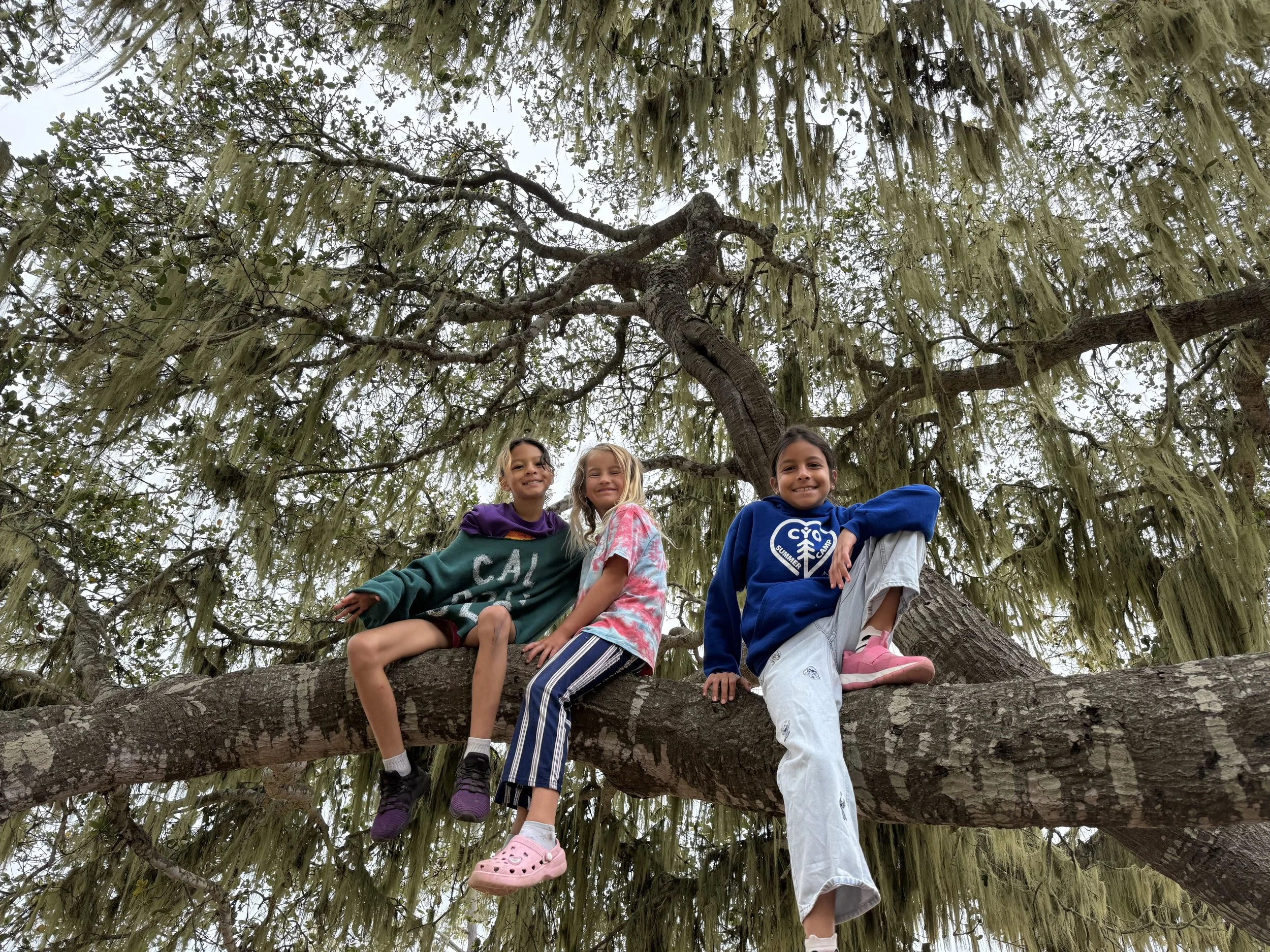 nature-deficit-disorder