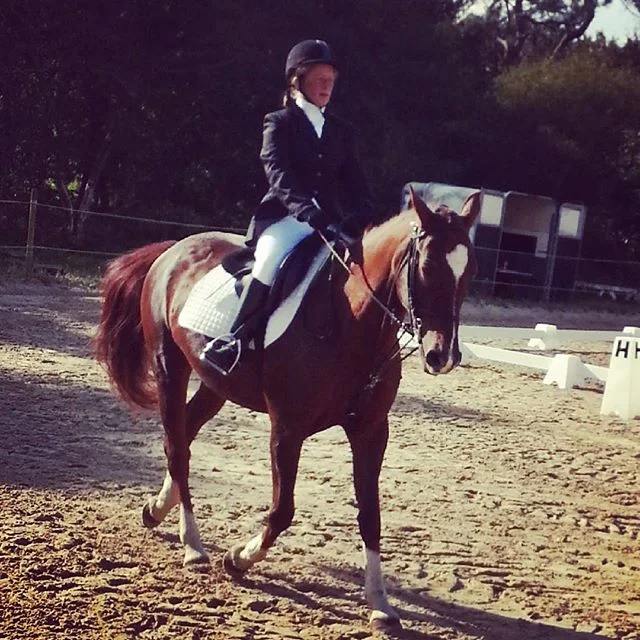 #harasdelukos #dressage #equitation #equestrian #cavalier #chevaux #horse #ridinghorses