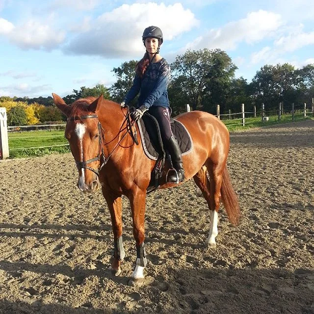 #harasdelukos #horses #ridinghorses #dressage #equitation #equestrian #cavalier #chevaux #insta #tazdelukos #belfort
