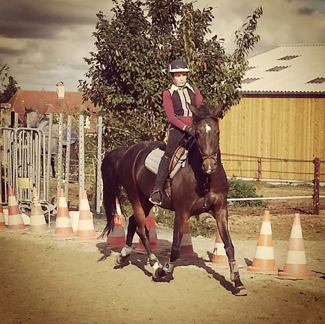 #harasdelukos #horse #dressage #equitation #equestrian #ribayazdelukos #cavalier #cheval #elevage #insta #children