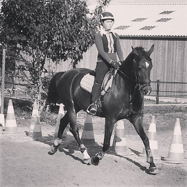 #harasdelukos #horse #dressage #equitation #equestrian #ribayazdelukos #cavalier #cheval #elevage #insta