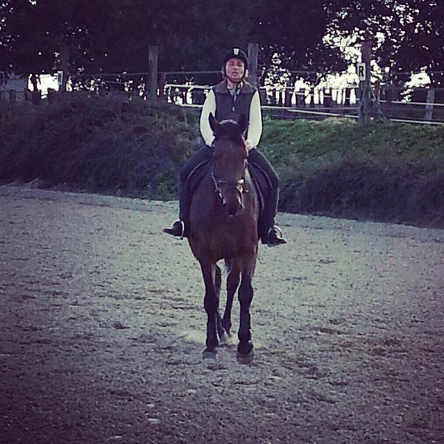 #scipiondelukos #harasdelukos #equitation #equestrian #dressage #cavalier #ridinghorses #chevaux #horse