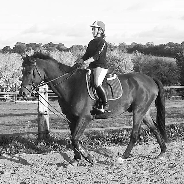 #harasdelukos #horse #dressage #equitation #equestrian #camarondelhuisne #cavalier #cheval #elevage #insta