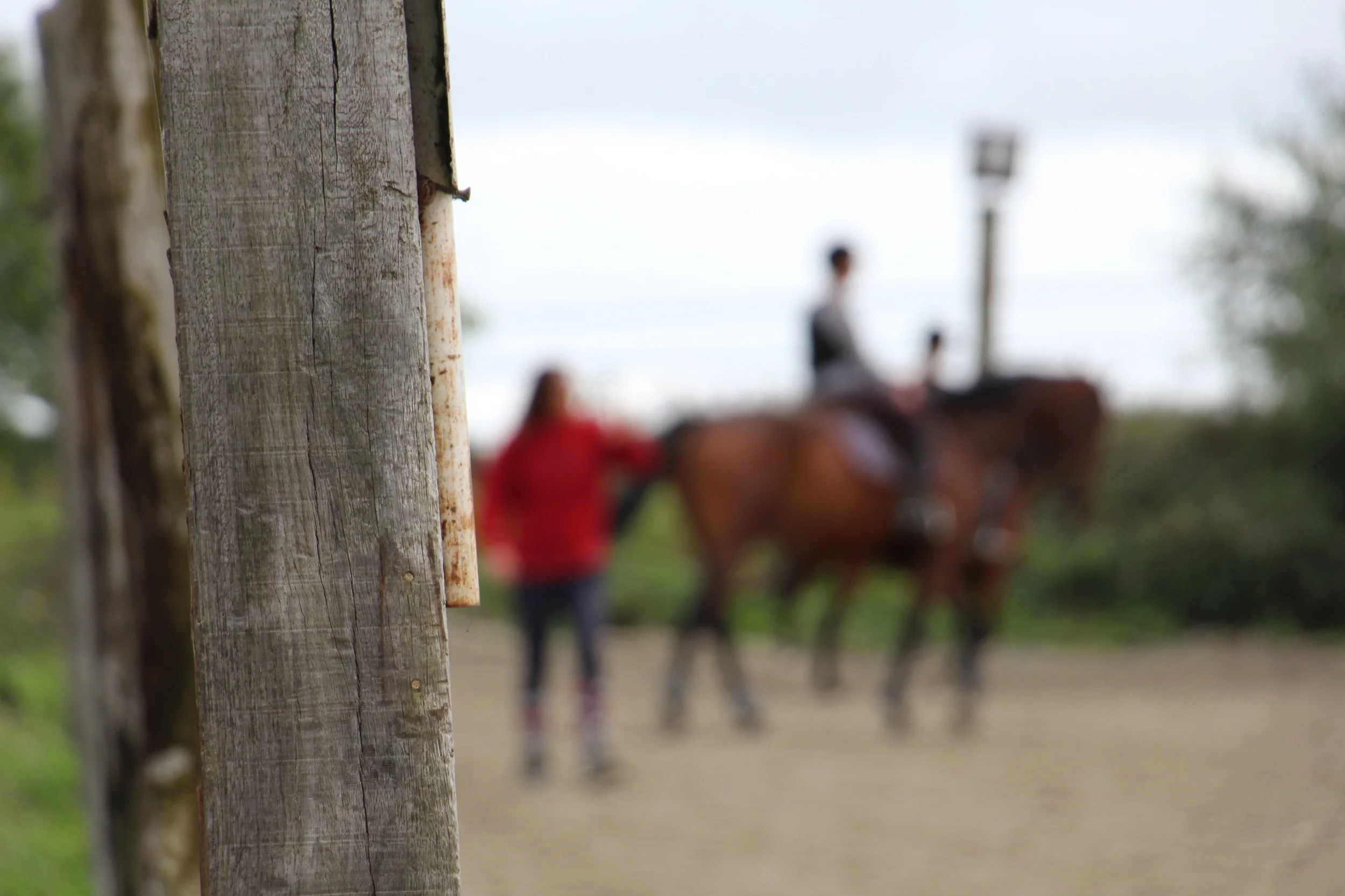 Stage Toussaint 2015