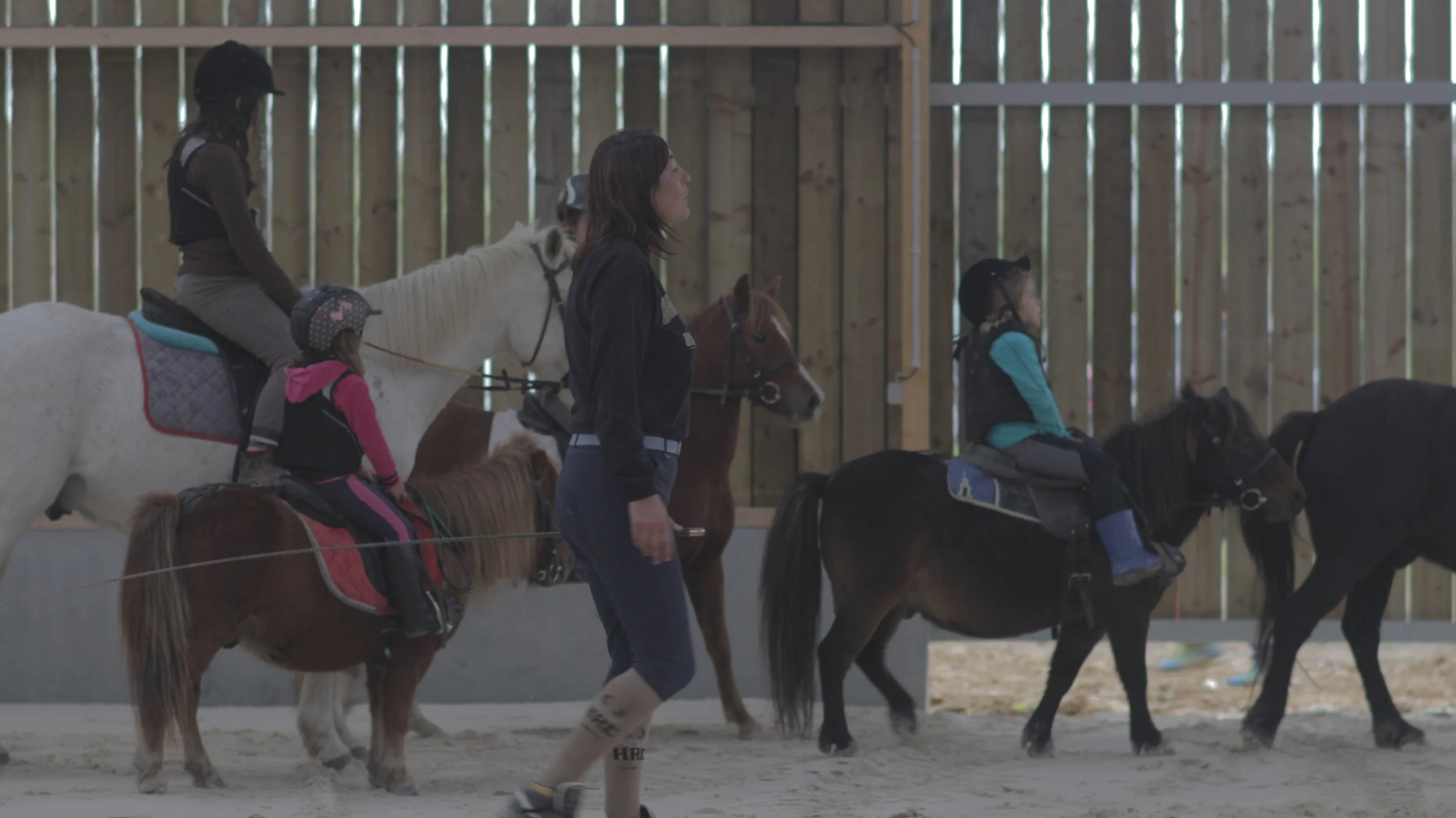 Stage Toussaint - Débutants 2015