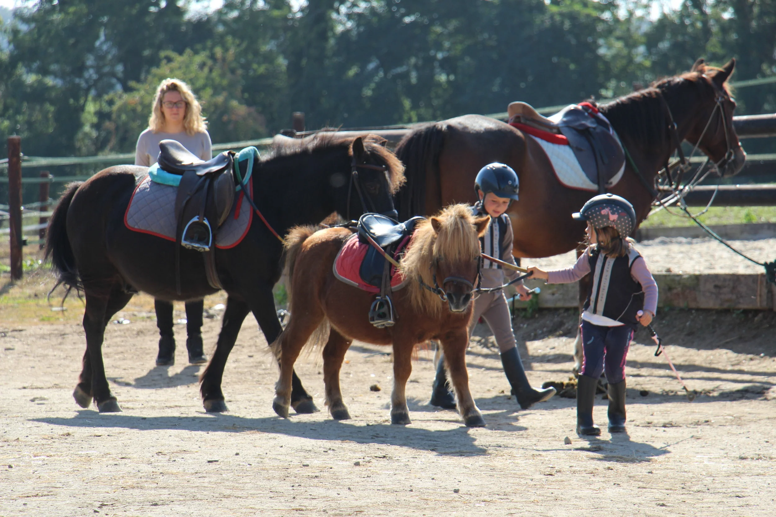 Stage Dressage 2016 - Galops 2 à 4