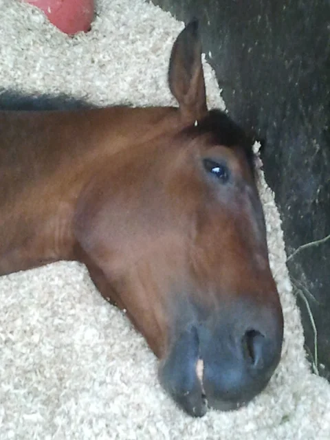2012-07-29 13.39.09.jpg