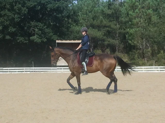 2012-09-23 11.45.21.jpg