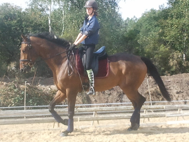2012-09-23 11.45.26.jpg