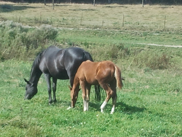 2012-09-09 15.49.56.jpg
