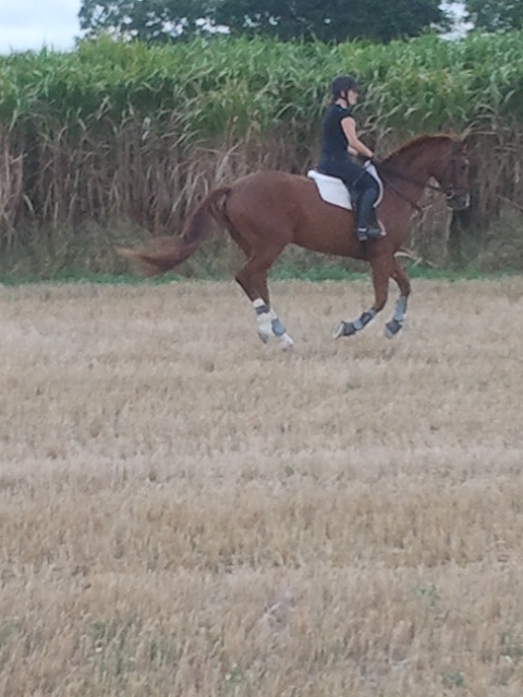 2012-09-14 18.15.52.jpg