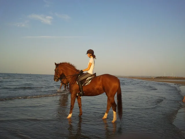 2012-09-15 19.30.39.jpg