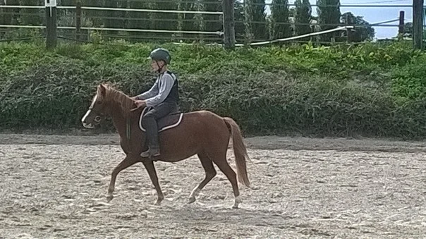 WP_20150905_036.JPG