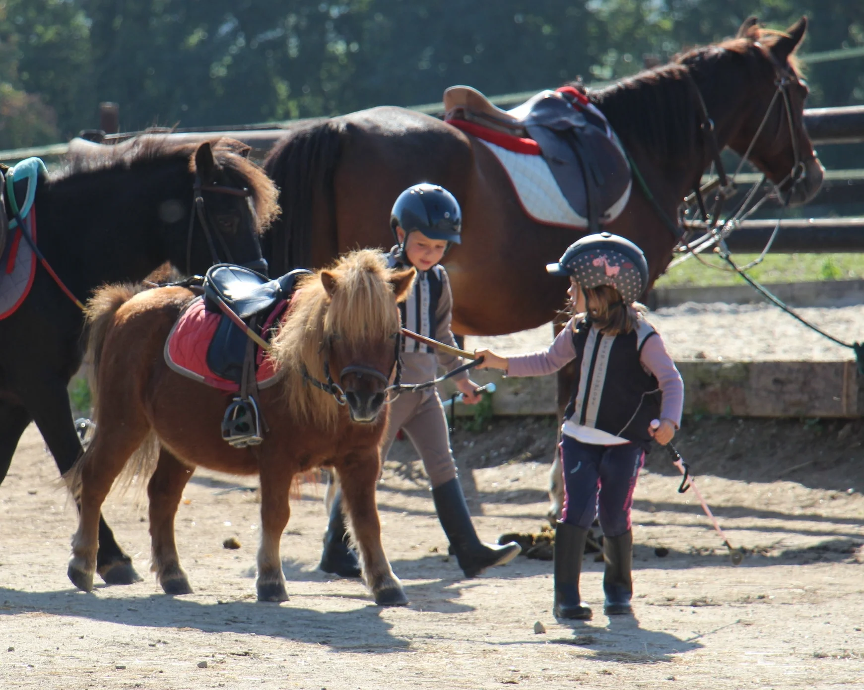 Passage Galop 1 - Avril 2016