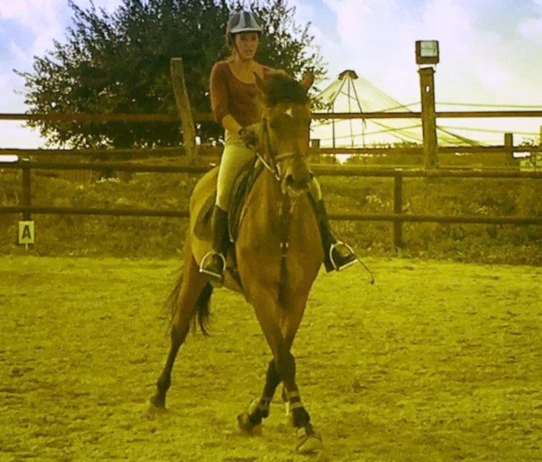 Stage Galop 6