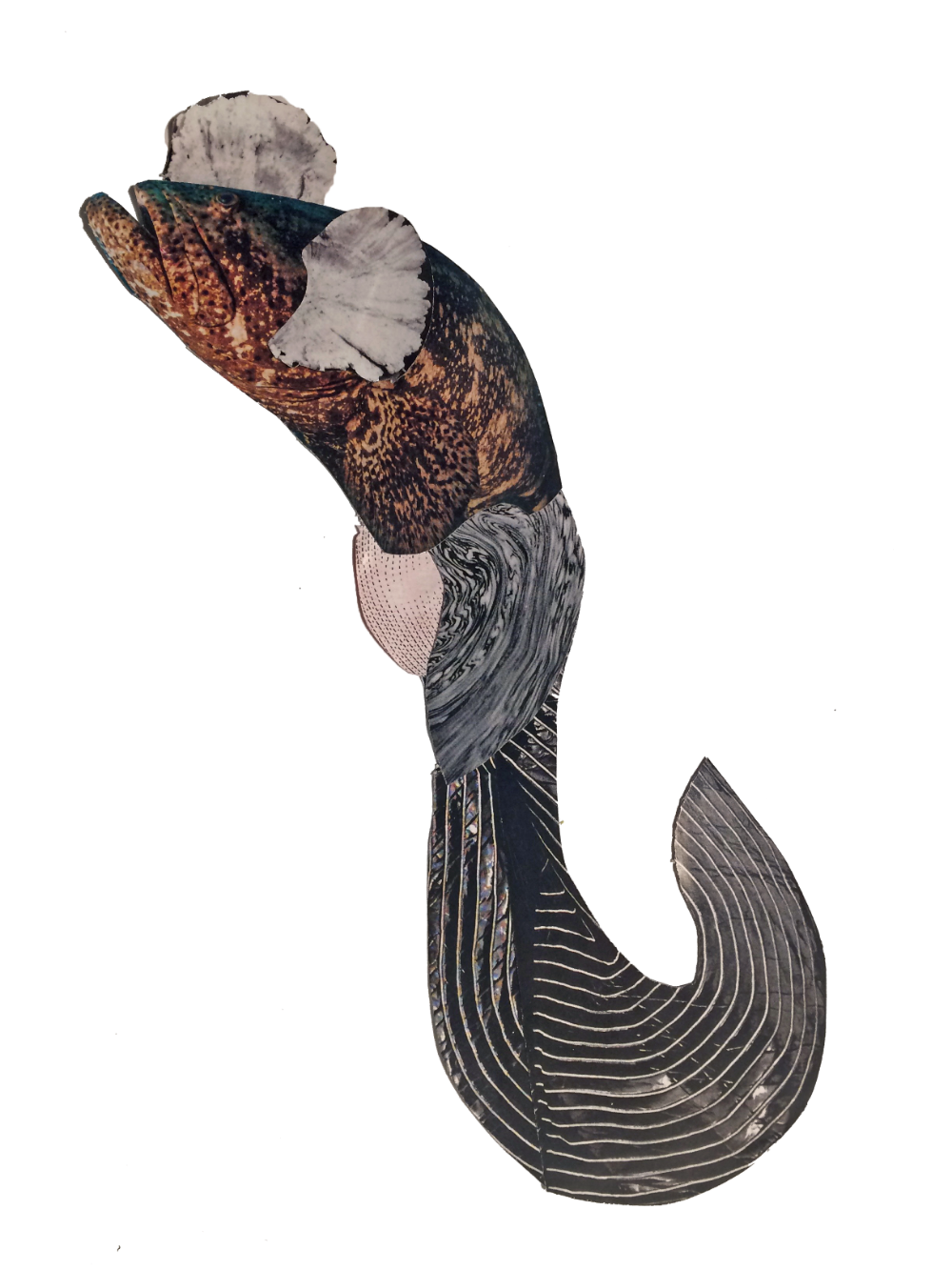 fish_collage.png