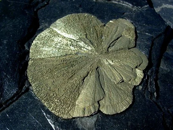 Pyrite Sun