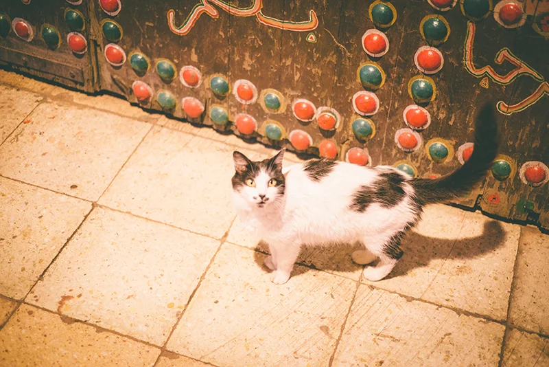 DSC_1673.jpg