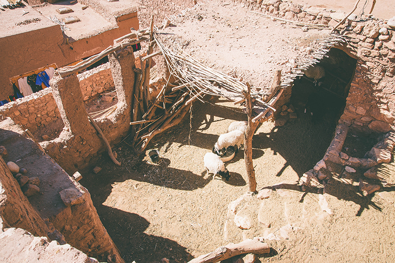 DSC_1989.jpg