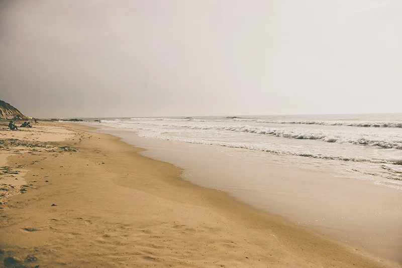 DS_Inês-15.jpg