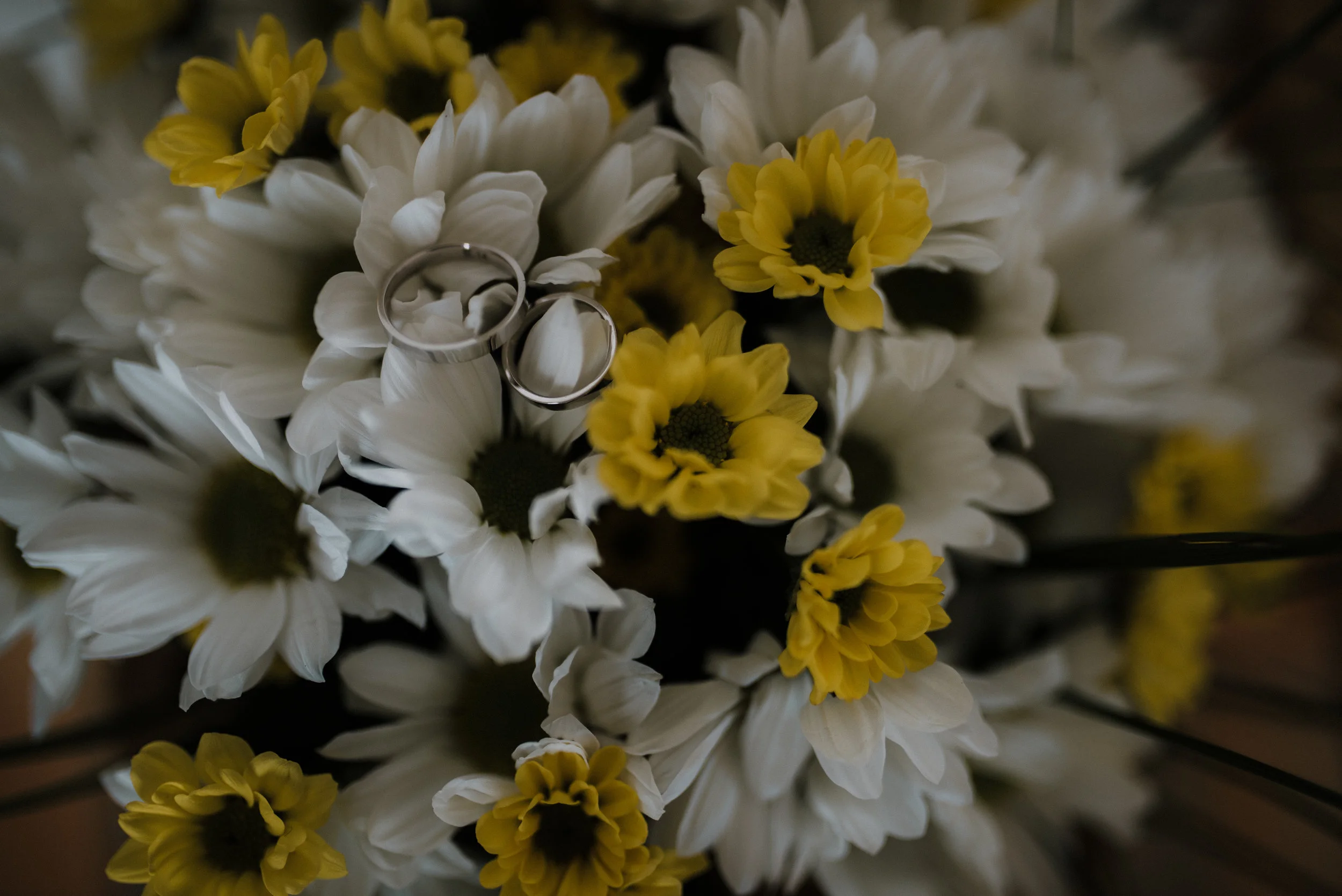Inês & Filipe-21.jpg