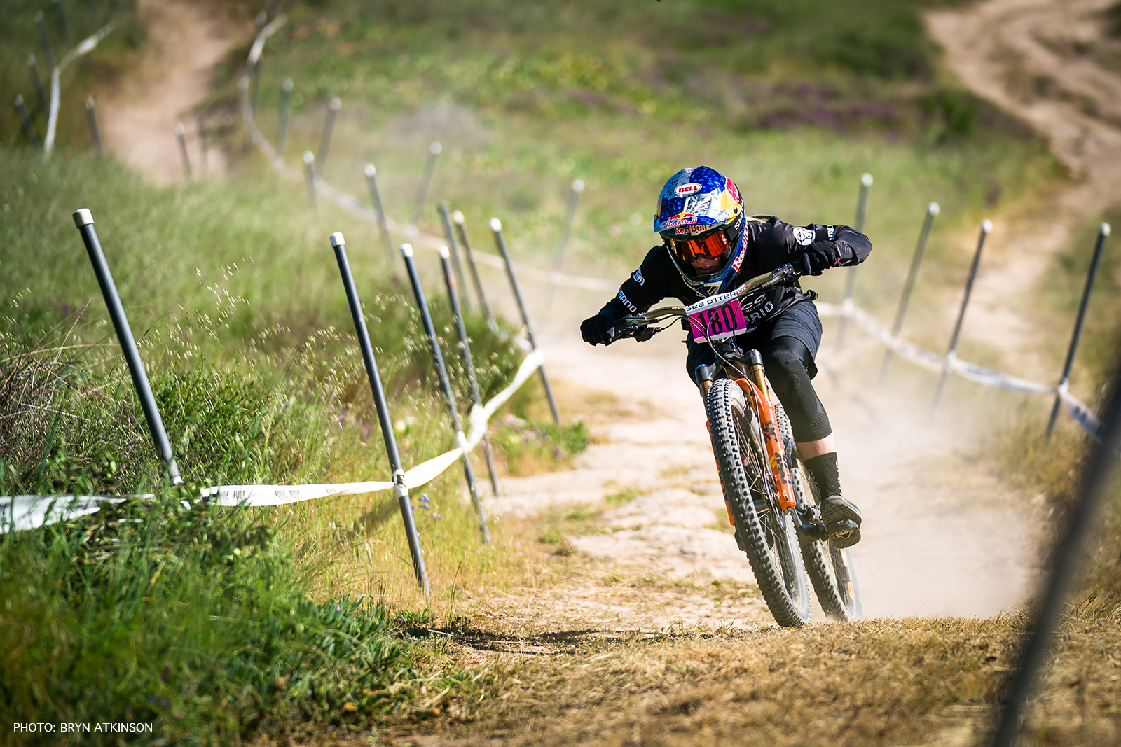 SEAOTTER_BRYN_DHTUCKDSC02138.jpg