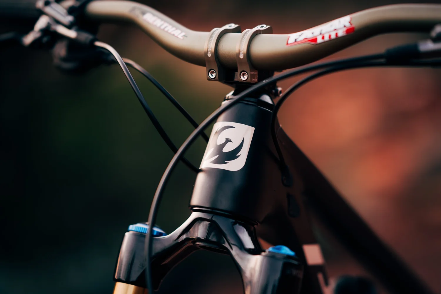 Pivot Switchblade 2025- Jill Kintner — JILL KINTNER