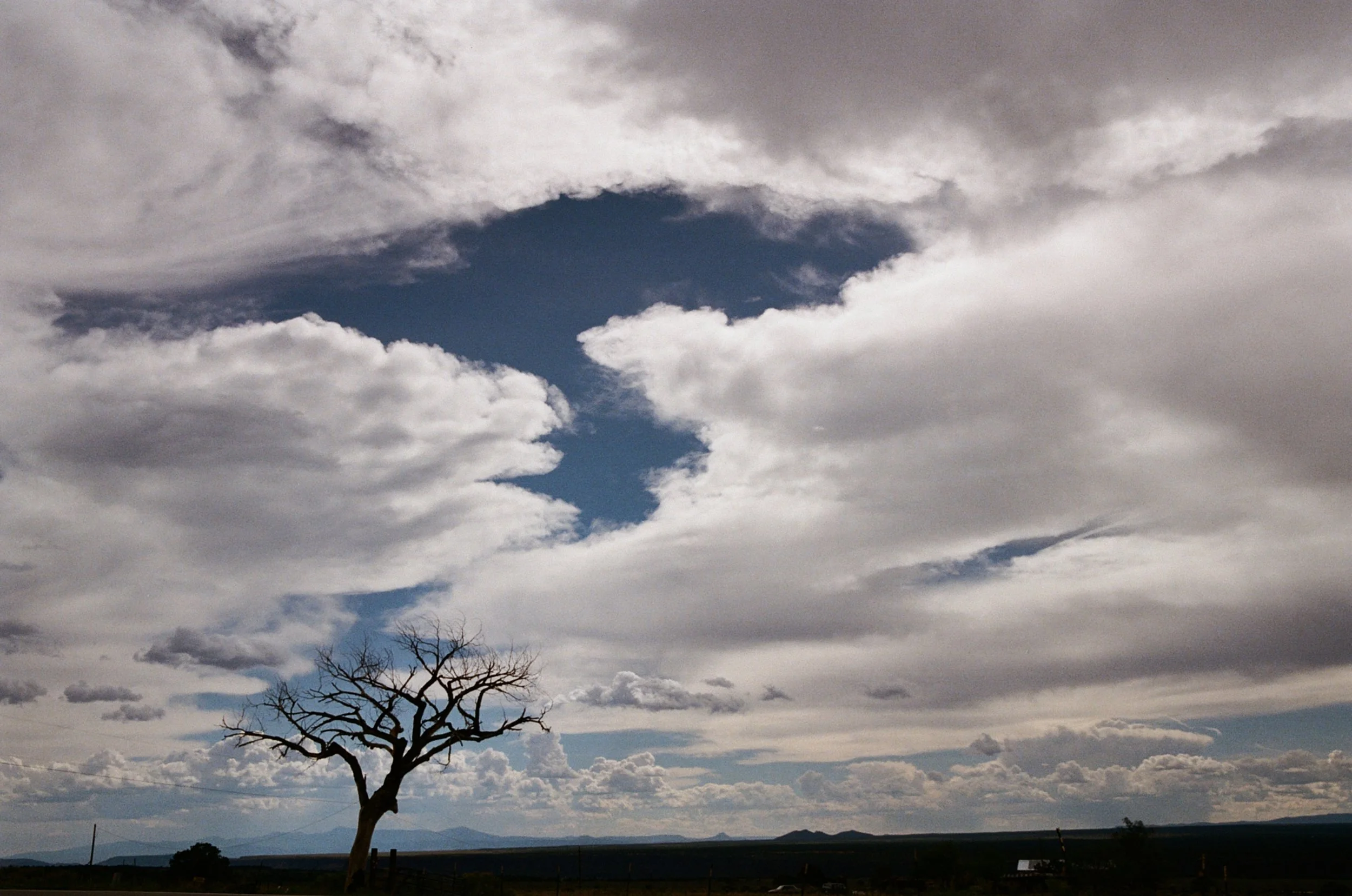 210605_hs_wr_je_35mm-film-landscape_0015.jpg